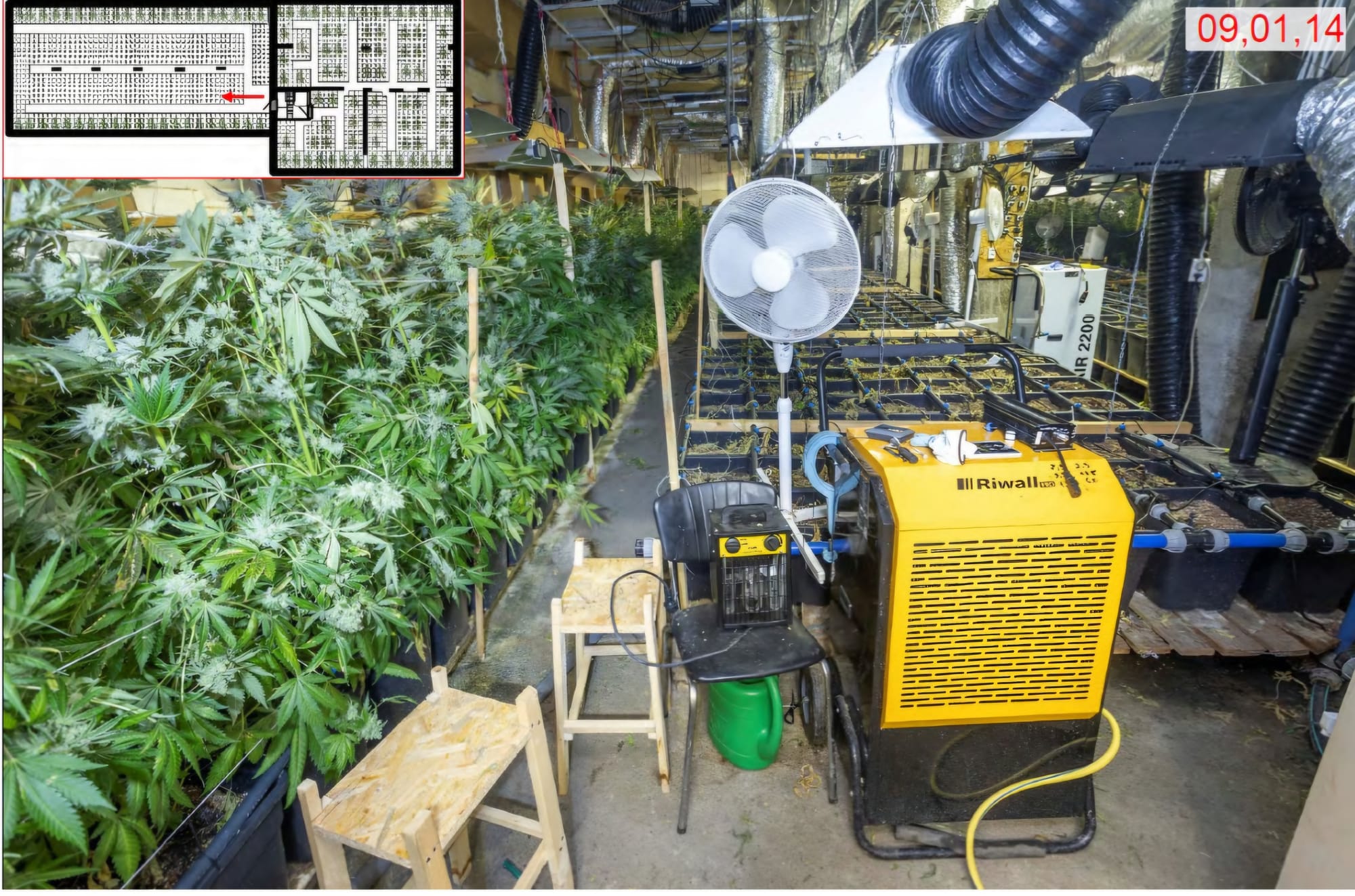 Småbruk i Leksvik brukt som cannabis-kollektiv – sju menn tiltalt